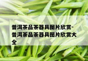 普洱茶品茶器具图片欣赏-普洱茶品茶器具图片欣赏大全