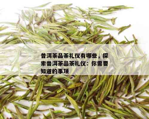 普洱茶品茶礼仪有哪些，探索普洱茶品茶礼仪：你需要知道的事项