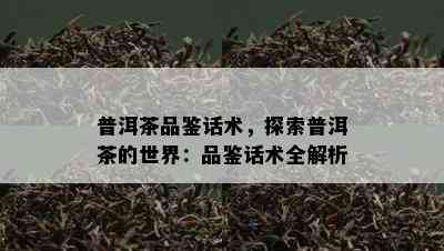 普洱茶品鉴话术，探索普洱茶的世界：品鉴话术全解析