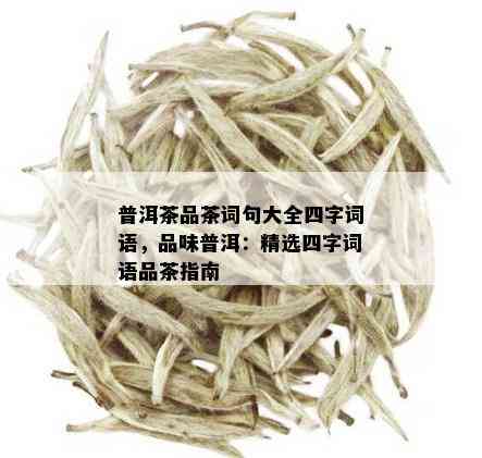 普洱茶品茶词句大全四字词语，品味普洱：精选四字词语品茶指南