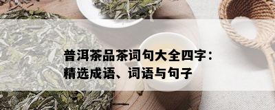 普洱茶品茶词句大全四字：精选成语、词语与句子