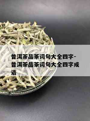 普洱茶品茶词句大全四字-普洱茶品茶词句大全四字成语