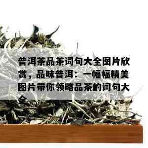 普洱茶品茶词句大全图片欣赏，品味普洱：一幅幅精美图片带你领略品茶的词句大全