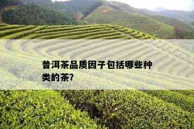 普洱茶品质因子包括哪些种类的茶？