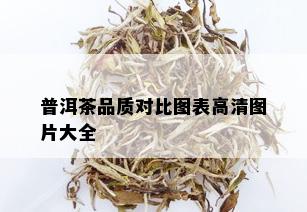 普洱茶品质对比图表高清图片大全