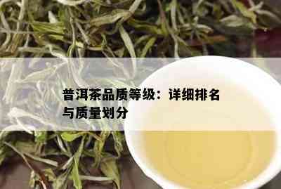 普洱茶品质等级：详细排名与质量划分