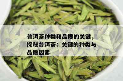 普洱茶种类和品质的关键，探秘普洱茶：关键的种类与品质因素