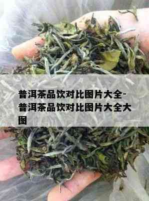 普洱茶品饮对比图片大全-普洱茶品饮对比图片大全大图