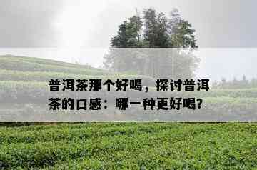 普洱茶那个好喝，探讨普洱茶的口感：哪一种更好喝？