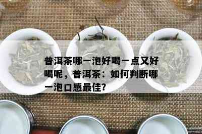 普洱茶哪一泡好喝一点又好喝呢，普洱茶：如何判断哪一泡口感更佳？