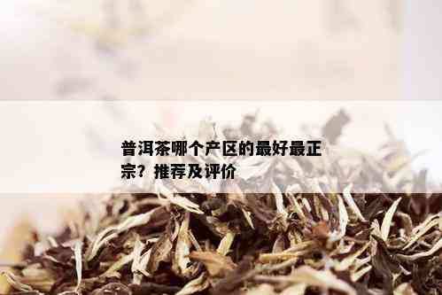 普洱茶哪个产区的更好最正宗？推荐及评价