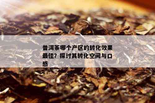 普洱茶哪个产区的转化效果更佳？探讨其转化空间与口感