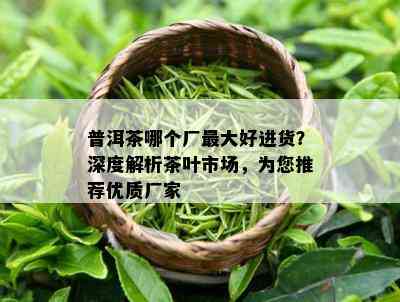 普洱茶哪个厂更大好进货？深度解析茶叶市场，为您推荐优质厂家