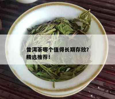 普洱茶哪个值得长期存放？精选推荐！