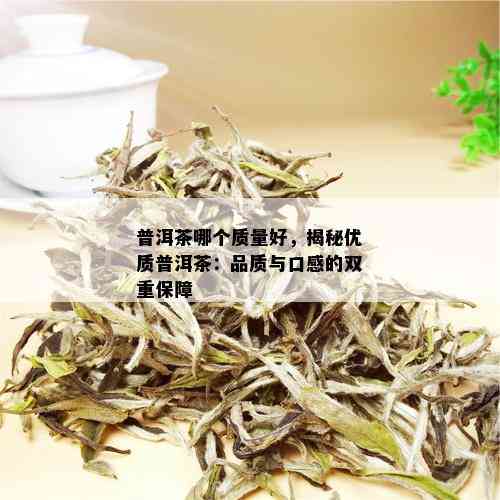 普洱茶哪个质量好，揭秘优质普洱茶：品质与口感的双重保障