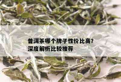 普洱茶哪个牌子性价比高？深度解析比较推荐