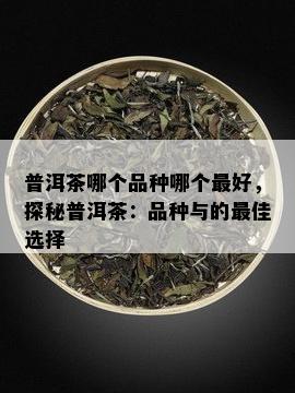 普洱茶哪个品种哪个更好，探秘普洱茶：品种与的更佳选择