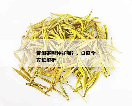 普洱茶哪种好喝？、口感全方位解析