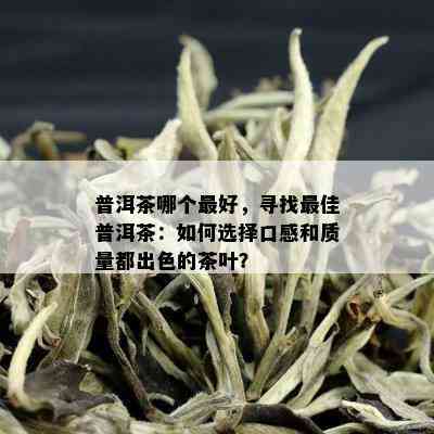 普洱茶哪个更好，寻找更佳普洱茶：如何选择口感和质量都出色的茶叶？