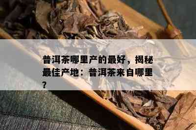 普洱茶哪里产的更好，揭秘更佳产地：普洱茶来自哪里？