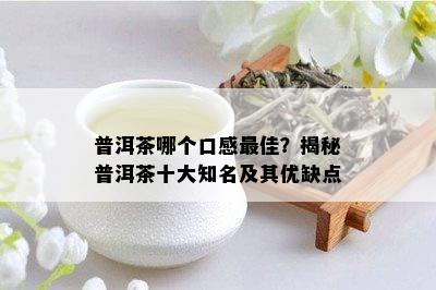 普洱茶哪个口感更佳？揭秘普洱茶十大知名及其优缺点