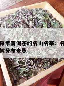 探索普洱茶的名山名寨：名树分布全览