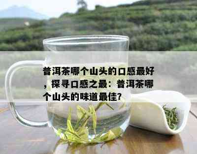 普洱茶哪个山头的口感更好，探寻口感之最：普洱茶哪个山头的味道更佳？