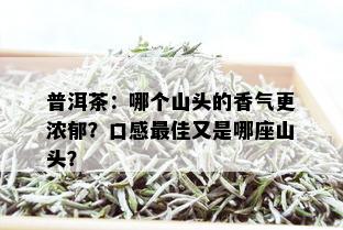 普洱茶：哪个山头的香气更浓郁？口感更佳又是哪座山头？