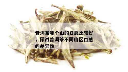 普洱茶哪个山的口感比较好，探讨普洱茶不同山区口感的差异性