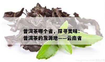 普洱茶哪个省，探寻美味：普洱茶的发源地——云南省