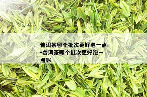 普洱茶哪个批次更好泡一点-普洱茶哪个批次更好泡一点呢