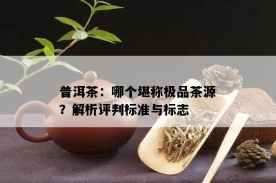 普洱茶：哪个堪称极品茶源？解析评判标准与标志