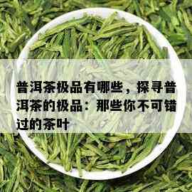 普洱茶极品有哪些，探寻普洱茶的极品：那些你不可错过的茶叶