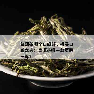 普洱茶哪个口感好，探寻口感之选：普洱茶哪一款更胜一筹？