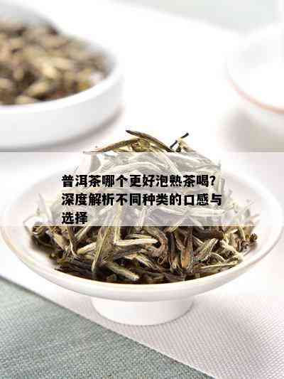 普洱茶哪个更好泡熟茶喝？深度解析不同种类的口感与选择