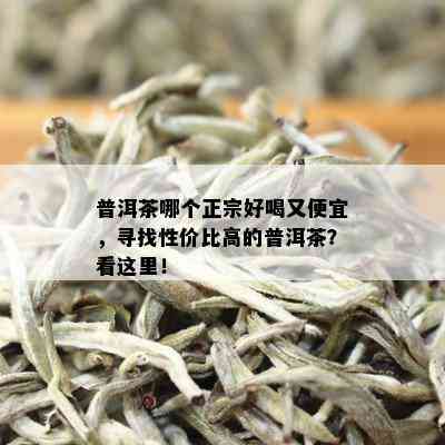 普洱茶哪个正宗好喝又便宜，寻找性价比高的普洱茶？看这里！