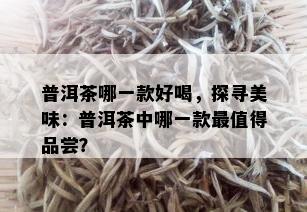 普洱茶哪一款好喝，探寻美味：普洱茶中哪一款最值得品尝？