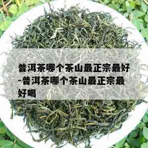 普洱茶哪个茶山最正宗更好-普洱茶哪个茶山最正宗更好喝