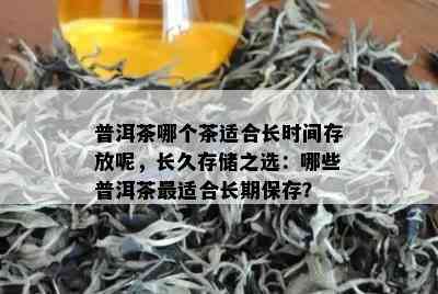 普洱茶哪个茶适合长时间存放呢，长久存储之选：哪些普洱茶最适合长期保存？