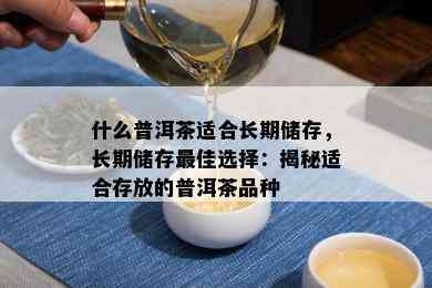 什么普洱茶适合长期储存，长期储存更佳选择：揭秘适合存放的普洱茶品种