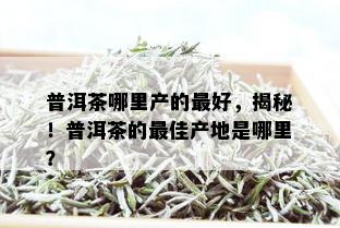 普洱茶哪里产的更好，揭秘！普洱茶的更佳产地是哪里？