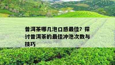 普洱茶哪几泡口感更佳？探讨普洱茶的更佳冲泡次数与技巧