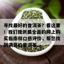 寻找更好的普洱茶？看这里！我们提供最全面的网上购买指南和口感评价，帮您找到满意的普洱茶。