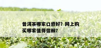 普洱茶哪家口感好？网上购买哪家值得信赖？