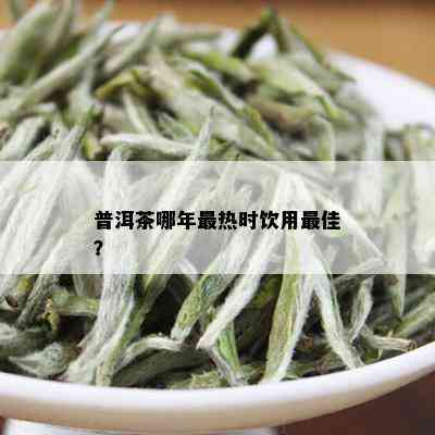 普洱茶哪年最热时饮用更佳？