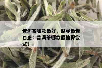 普洱茶哪款更好，探寻更佳口感：普洱茶哪款最值得尝试？