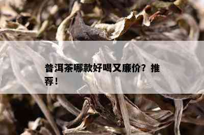 普洱茶哪款好喝又廉价？推荐！