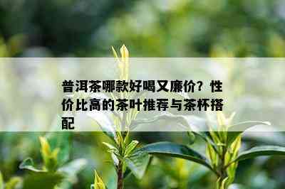 普洱茶哪款好喝又廉价？性价比高的茶叶推荐与茶杯搭配