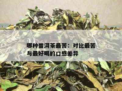 哪种普洱茶最苦：对比最苦与更好喝的口感差异