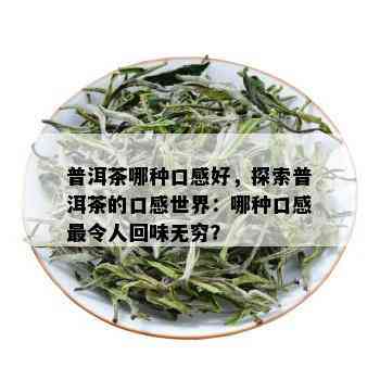 普洱茶哪种口感好，探索普洱茶的口感世界：哪种口感最令人回味无穷？